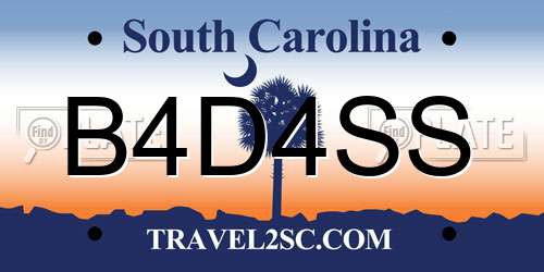 B4D4SS South Carolina License Plate