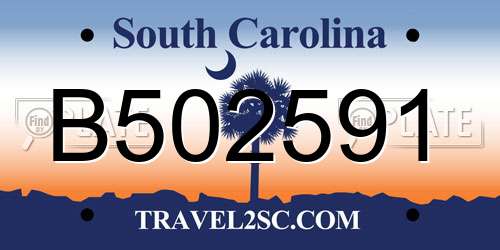 B502591 South Carolina License Plate