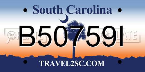 B50759I South Carolina License Plate
