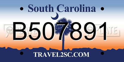 B507891 South Carolina License Plate
