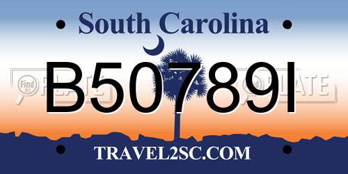 B50789I South Carolina License Plate