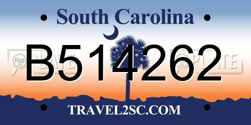 B514262 South Carolina License Plate