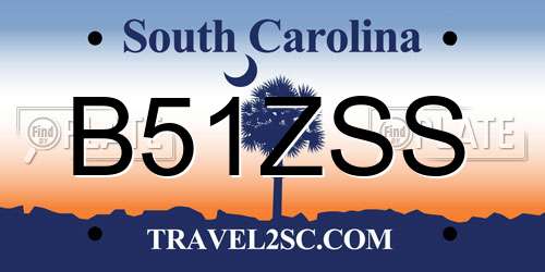 B51ZSS South Carolina License Plate