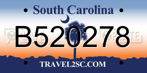 B520278 South Carolina License Plate