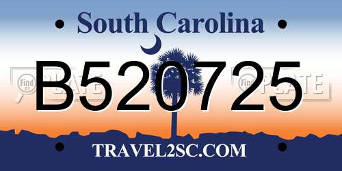 B520725 South Carolina License Plate