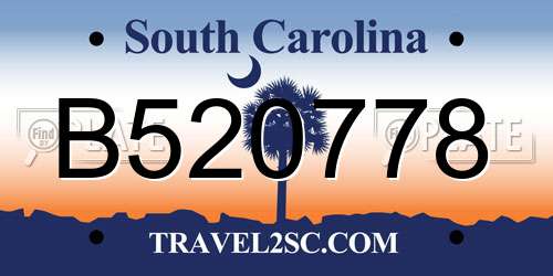 B520778 South Carolina License Plate