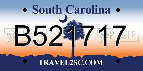 B521717 South Carolina License Plate