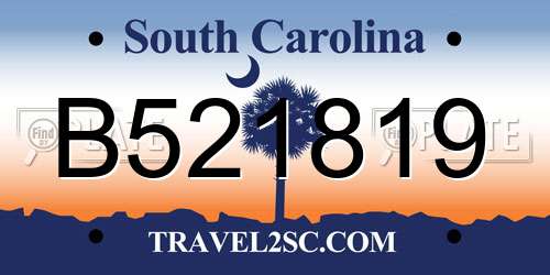 B521819 South Carolina License Plate