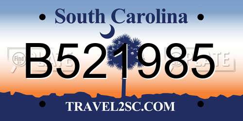 B521985 South Carolina License Plate
