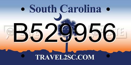 B529956 South Carolina License Plate