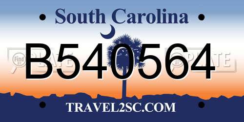 B540564 South Carolina License Plate