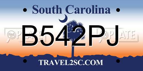 B542PJ South Carolina License Plate