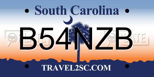 B54NZB South Carolina License Plate