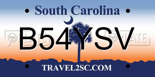B54YSV South Carolina License Plate