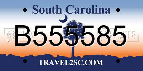 B555585 South Carolina License Plate
