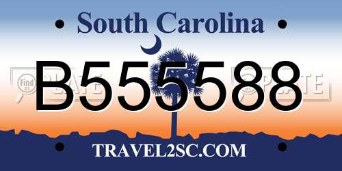 B555588 South Carolina License Plate