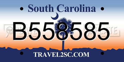 B558585 South Carolina License Plate