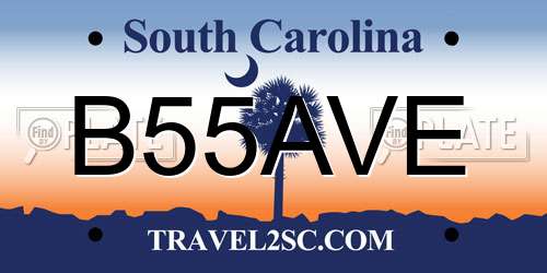 B55AVE South Carolina License Plate