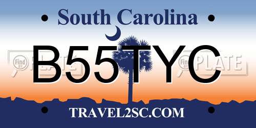 B55TYC South Carolina License Plate