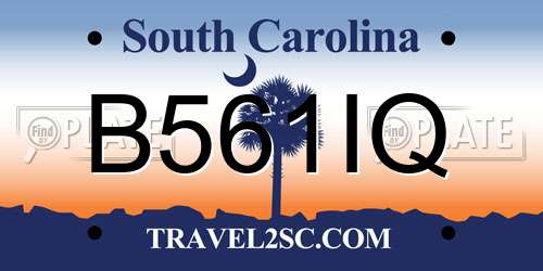 B561IQ South Carolina License Plate