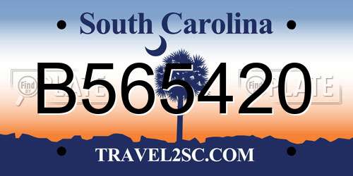 B565420 South Carolina License Plate