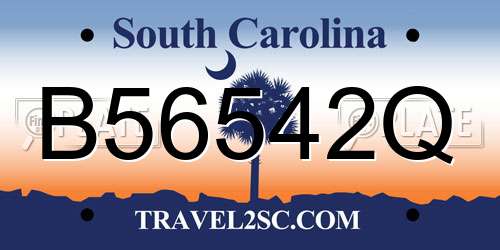 B56542Q South Carolina License Plate