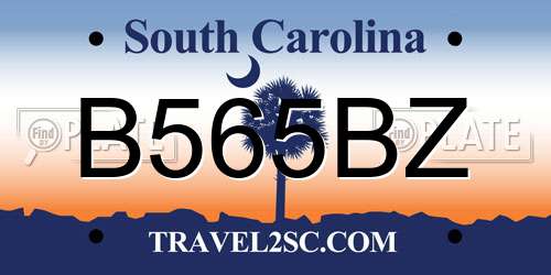 B565BZ South Carolina License Plate