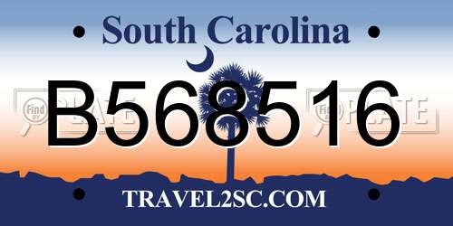 B568516 South Carolina License Plate