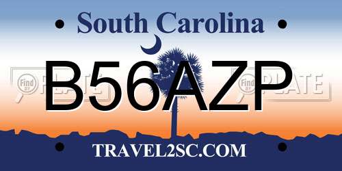 B56AZP South Carolina License Plate