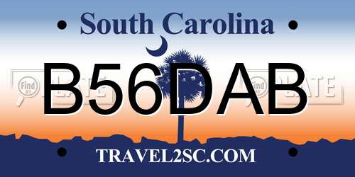 B56DAB South Carolina License Plate