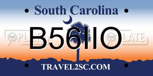 B56IIO South Carolina License Plate