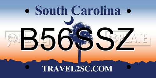 B56SSZ South Carolina License Plate
