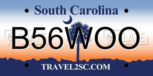 B56WOO South Carolina License Plate