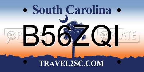 B56ZQI South Carolina License Plate