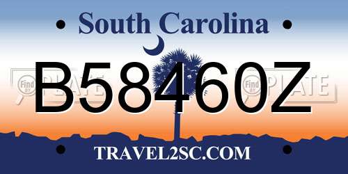 B58460Z South Carolina License Plate