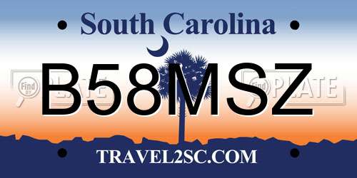 B58MSZ South Carolina License Plate