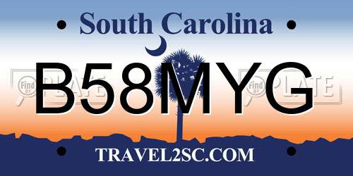 B58MYG South Carolina License Plate