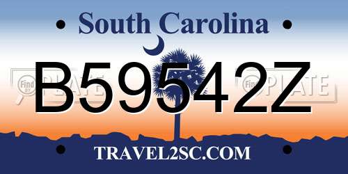 B59542Z South Carolina License Plate
