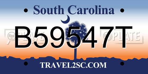 B59547T South Carolina License Plate