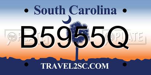 B5955Q South Carolina License Plate