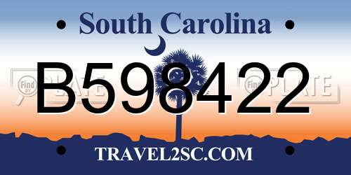 B598422 South Carolina License Plate