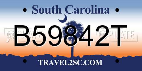 B59842T South Carolina License Plate