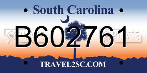 B602761 South Carolina License Plate