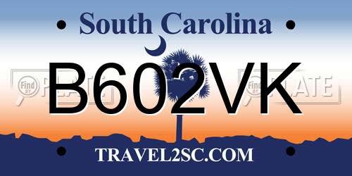 B602VK South Carolina License Plate