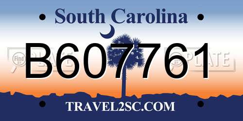 B607761 South Carolina License Plate