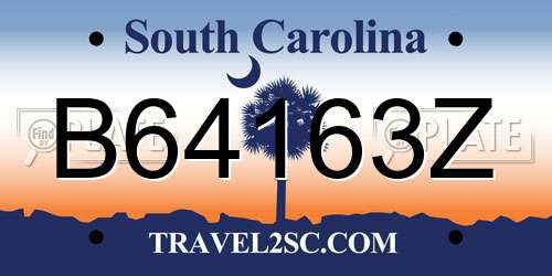B64163Z South Carolina License Plate
