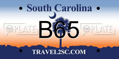 B65 South Carolina License Plate