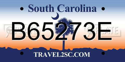 B65273E South Carolina License Plate