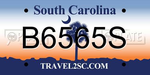 B6565S South Carolina License Plate