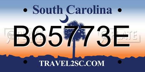 B65773E South Carolina License Plate